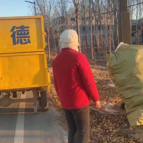 大风降温落叶多    环卫工人清理忙