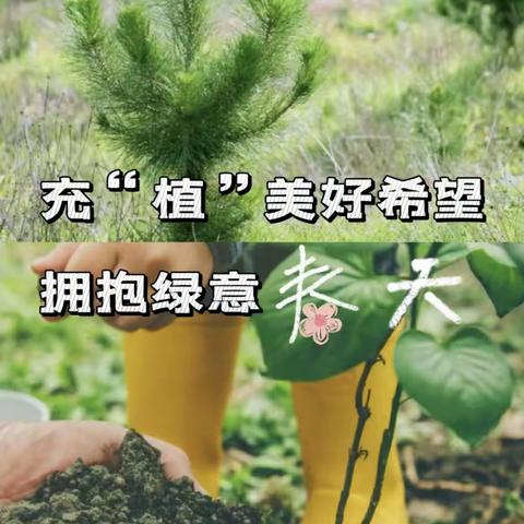 充“植”美好希望  拥抱绿意春天