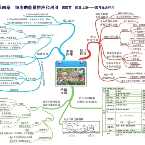 以导图促学，助思维开花 ——记湛江市霞山区第二届高中生物学概念图设计大赛