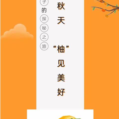 钱库镇阳光新型公办幼儿园小二班【班本课程】《遇见秋天，“柚”见美好》