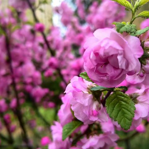 【永泰•剑桥郡】项目部四月份工作简报