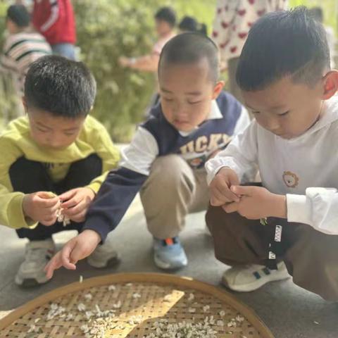 本周小记——博山区实验幼儿园易达园大一班