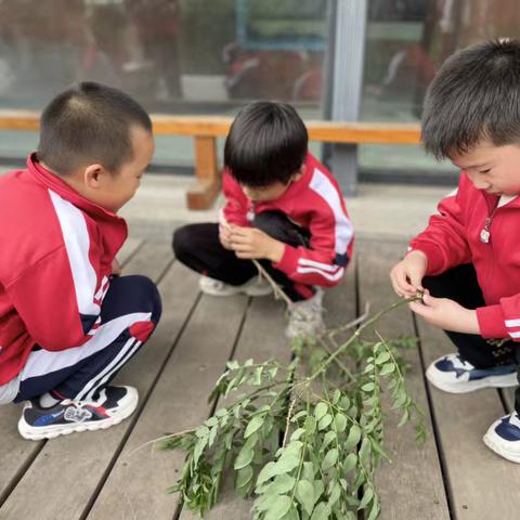 古法造纸（二）