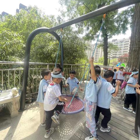 易达小院的“树”朋友——博山区实验幼儿园易达园大一班