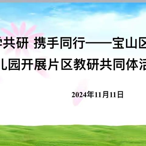 互学共研 携手同行 ——宝山区第一幼儿园开展片区教研共同体活动