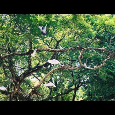 六中南校区积跬步――行千里秋日远足活动