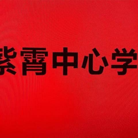 与“化”同行，伴“学”成长——紫霄中心学校理科组化学公开课