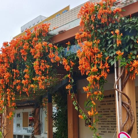 拼音写字本，作业书写工整的同学，是我们学习的好榜样。