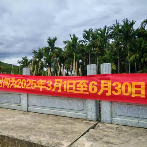 五指山市开展2025年联合禁渔执法巡逻工作