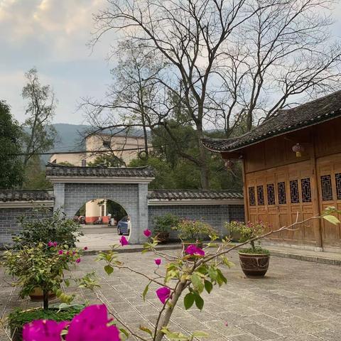 隆冬将至，共赴一场爱的盛宴 ——桂花园里好读书