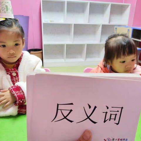 周六全脑10：40～11：20