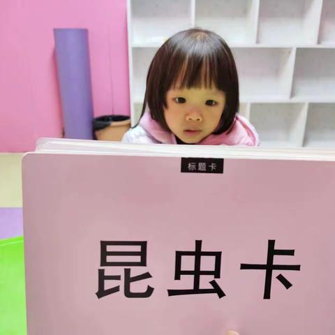 周六全脑10：40～11：20