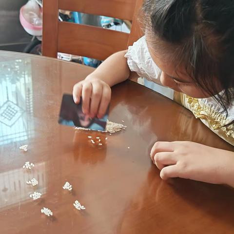 国庆实践活动一，1亿粒大米的重量