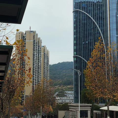 云鼎天阙12月份第一周小区情况