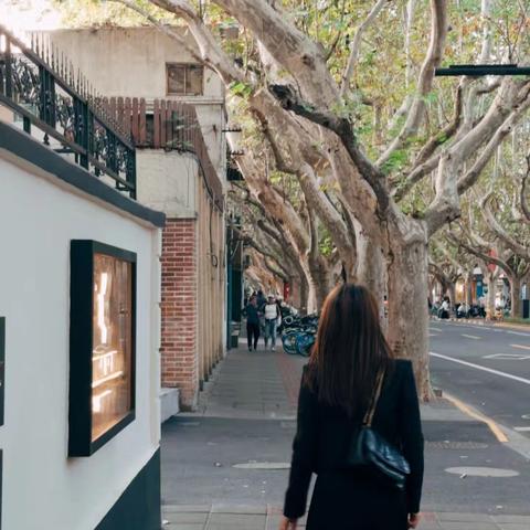 岁序沉霜，心有执念意难平