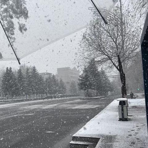 雪落无声，初心依旧