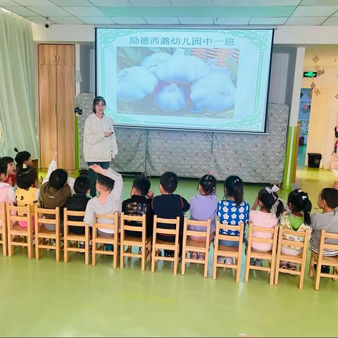 励德西潞幼儿园中一班科技节种植活动 “种植大蒜，蒜你可爱”