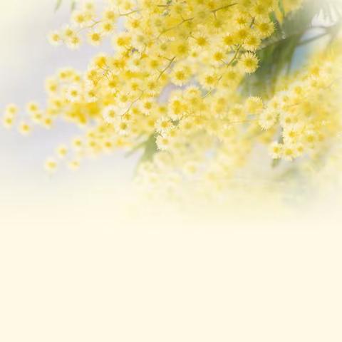 “心”相遇 “新”开始 聊城经济技术开发区季海幼儿园 2023秋季开学仪式