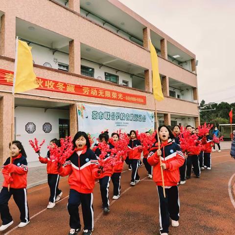 劳动伴我行，教育润心灵——茶市联合学校僚塘小学劳动教育美篇