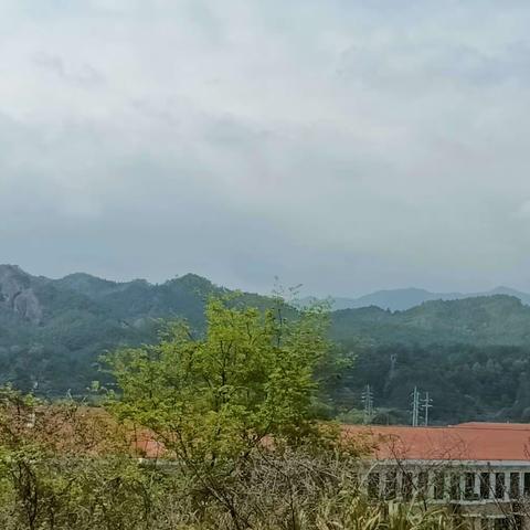 《扎根肥沃土壤，汲取环保力量》