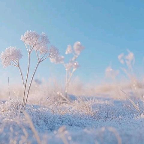 雪的馈赠 —— 350班以“雪”话温暖