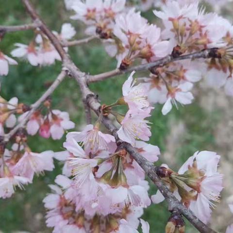 兰陵县第十中学心理健康讲座：减压赋能，轻装前行