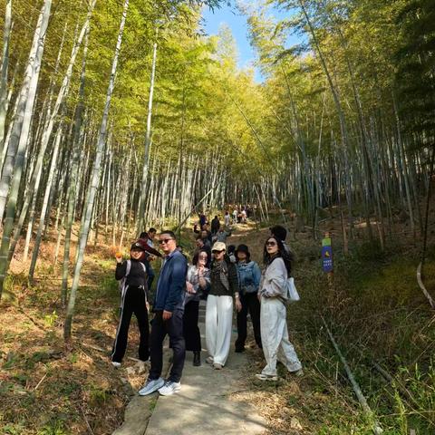 共叙同窗情，畅游竹海间——宁波镇海浙海大校友会联谊活动圆满举行