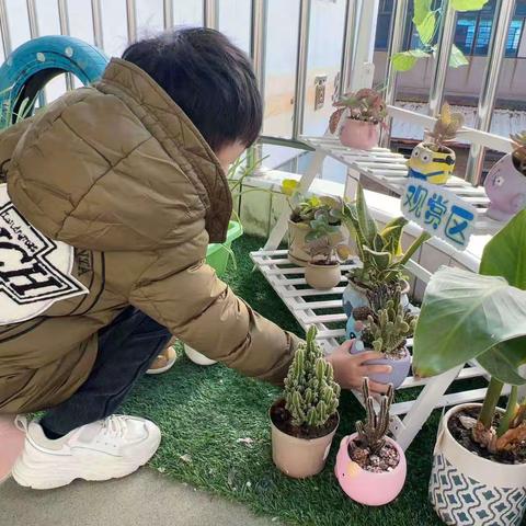 仁和幼儿园一周花絮——小角落、大奥秘