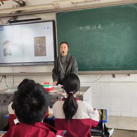 聆听雁鸣，共赴自然之约——八年级语文组第二次集体备课《大雁归来》教学展示。