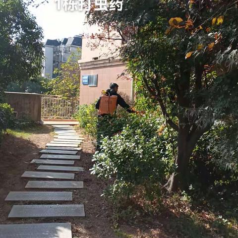 尊敬的御景首府业主，你们好！最近我们物业对本小区 开展除四害、除白蚁专项行动，营造良好生活环境！