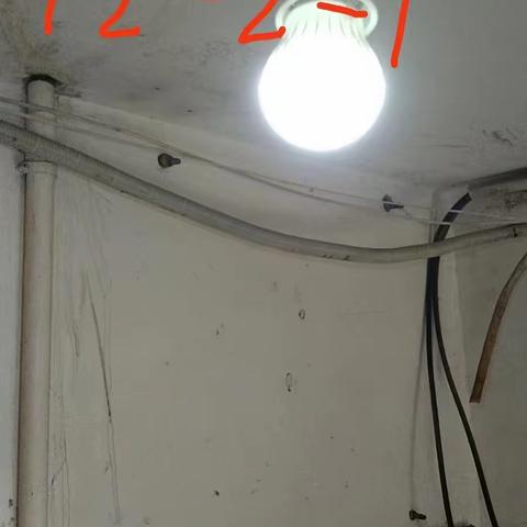 金枫小区物业服务周报       2023.10.20-2023.10.26致业主： 各位业主们，全体物业员工勤奋努力、用心服务业主