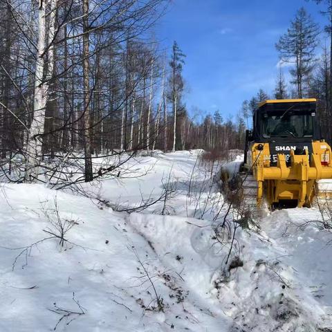 林业局助力桦树汁采集前期工作，积雪清理保障道路畅通