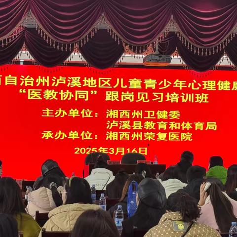 拨开心灵迷雾，照亮教育之路—— ‍泸溪县“医教协同”跟岗培训总结
