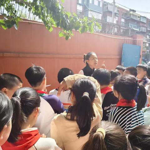 【机场路小学·劳动教育】--躬耕实践，以劳育德之春耕篇