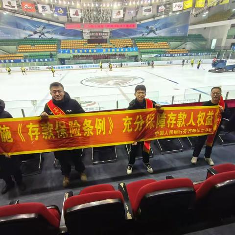 冰球赛场展锋芒 存款保险筑屏障