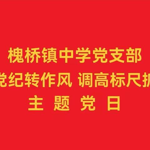 【主题党日】严明党纪转作风 调高标尺抓落实—槐桥镇中学党支部开展主题党日活动