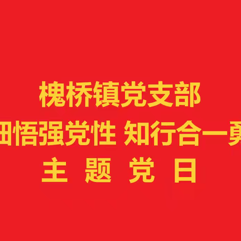 槐桥镇中学开展“深学细悟强党性 知行合一勇作为”主题党日活动