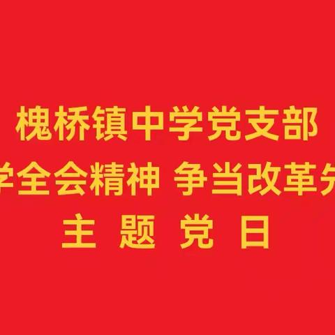 槐桥镇中学开展“深学全会精神 争当改革先锋 ”主题党日活动