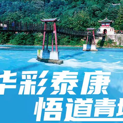 华夏观澜安康行—“华彩泰康·悟道青城”贵宾沙龙活动