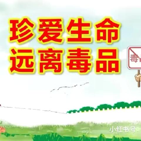 珍爱生命 远离毒品——环城二小408班花儿中队主题中队课