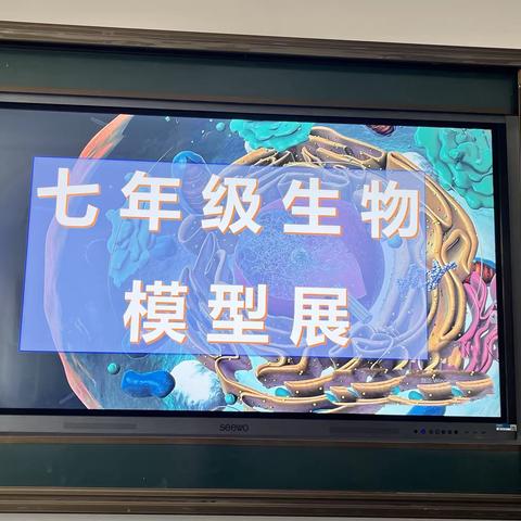 “生”趣盎然，有“模”有样 ——龙园中学七年级生物模型展