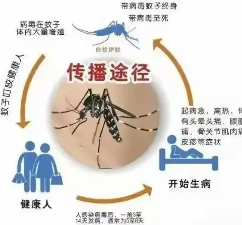 “预”见秋天  健康童行 —爱心堡幼儿园秋季 传染病预防知识宣传—