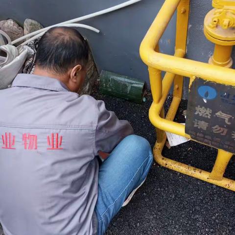 道德街街道北辛街社区冬季灭鼠行动，巩固病媒防制成果