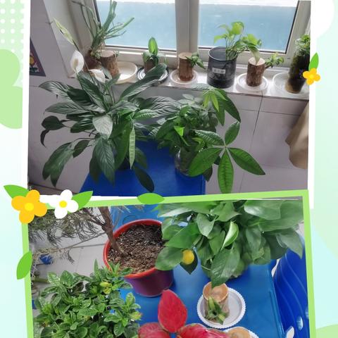 【八小·润启·德育】春之约    绿之角