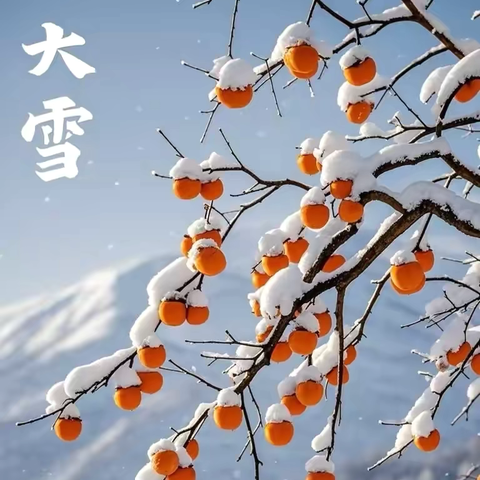 冷水江市第一小学五（6）班大雪实践活动
