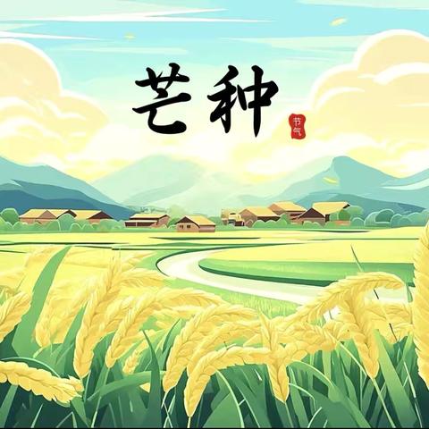 青梅煮时光，芒种入夏忙—— ‍2006班芒种节气德育实践活动