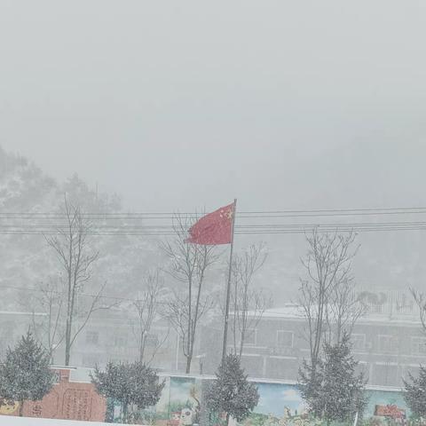 雪之美，童之趣         ——108班下雪记