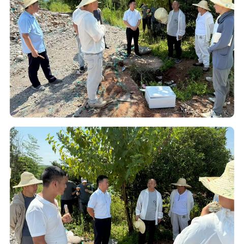 街道党工委书记黄红兵现场调度土地征收工作