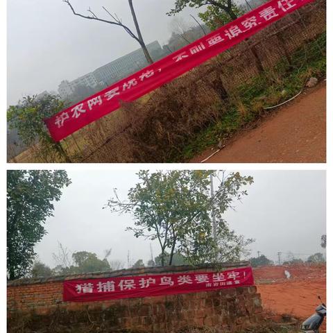 南岩村环保宣传实践：从标语到行动的乡村生态守护之路