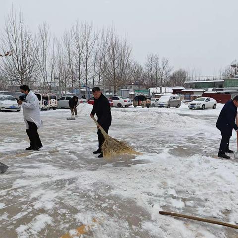 田集卫生院：冬日暖人心，扫雪我先行！